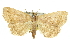  ( - 11ANIC-10612)  @11 [ ] CreativeCommons - Attribution (2011) ANIC/CBG Photography Group Centre for Biodiversity Genomics