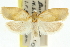  ( - 11ANIC-10659)  @13 [ ] CreativeCommons - Attribution (2011) ANIC/CBG Photography Group Centre for Biodiversity Genomics