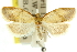  ( - 11ANIC-10660)  @11 [ ] CreativeCommons - Attribution (2011) ANIC/CBG Photography Group Centre for Biodiversity Genomics