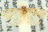  ( - 11ANIC-10728)  @14 [ ] CreativeCommons - Attribution (2011) ANIC/CBG Photography Group Centre for Biodiversity Genomics