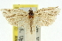  ( - 11ANIC-10734)  @11 [ ] CreativeCommons - Attribution (2011) ANIC/CBG Photography Group Centre for Biodiversity Genomics