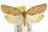  ( - 11ANIC-10945)  @14 [ ] CreativeCommons - Attribution (2011) ANIC/CBG Photography Group Centre for Biodiversity Genomics