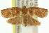  ( - 11ANIC-10965)  @13 [ ] CreativeCommons - Attribution (2011) ANIC/CBG Photography Group Centre for Biodiversity Genomics