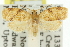  ( - 11ANIC-10982)  @12 [ ] CreativeCommons - Attribution (2011) ANIC/CBG Photography Group Centre for Biodiversity Genomics