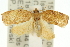 ( - 11ANIC-10986)  @13 [ ] CreativeCommons - Attribution (2011) ANIC/CBG Photography Group Centre for Biodiversity Genomics