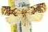  ( - 11ANIC-11003)  @14 [ ] CreativeCommons - Attribution (2011) ANIC/CBG Photography Group Centre for Biodiversity Genomics