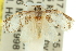  ( - 11ANIC-11007)  @14 [ ] CreativeCommons - Attribution (2011) ANIC/CBG Photography Group Centre for Biodiversity Genomics
