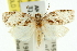  ( - 11ANIC-11009)  @15 [ ] CreativeCommons - Attribution (2011) ANIC/CBG Photography Group Centre for Biodiversity Genomics