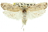 ( - 11ANIC-11069)  @11 [ ] CreativeCommons - Attribution (2011) ANIC/CBG Photography Group Centre for Biodiversity Genomics