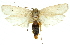  ( - 11ANIC-11082)  @14 [ ] CreativeCommons - Attribution (2011) ANIC/CBG Photography Group Centre for Biodiversity Genomics