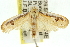  ( - 11ANIC-11136)  @12 [ ] CreativeCommons - Attribution (2011) ANIC/CBG Photography Group Centre for Biodiversity Genomics
