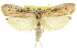  ( - 11ANIC-11151)  @13 [ ] CreativeCommons - Attribution (2011) ANIC/CBG Photography Group Centre for Biodiversity Genomics