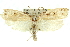  ( - 11ANIC-11152)  @13 [ ] CreativeCommons - Attribution (2011) ANIC/CBG Photography Group Centre for Biodiversity Genomics