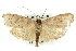  ( - 11ANIC-11170)  @13 [ ] CreativeCommons - Attribution (2011) ANIC/CBG Photography Group Centre for Biodiversity Genomics