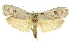  ( - 11ANIC-11203)  @14 [ ] CreativeCommons - Attribution (2011) ANIC/CBG Photography Group Centre for Biodiversity Genomics