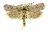  ( - 11ANIC-11209)  @13 [ ] CreativeCommons - Attribution (2011) ANIC/CBG Photography Group Centre for Biodiversity Genomics