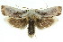 ( - 11ANIC-11231)  @14 [ ] CreativeCommons - Attribution (2011) ANIC/CBG Photography Group Centre for Biodiversity Genomics