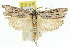 ( - 11ANIC-11292)  @13 [ ] CreativeCommons - Attribution (2011) ANIC/CBG Photography Group Centre for Biodiversity Genomics