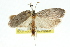  ( - 11ANIC-11296)  @12 [ ] CreativeCommons - Attribution (2011) ANIC/CBG Photography Group Centre for Biodiversity Genomics