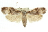  ( - 11ANIC-11300)  @14 [ ] CreativeCommons - Attribution (2011) ANIC/CBG Photography Group Centre for Biodiversity Genomics