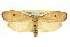  ( - 11ANIC-11320)  @13 [ ] CreativeCommons - Attribution (2011) ANIC/CBG Photography Group Centre for Biodiversity Genomics