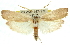 ( - 11ANIC-11332)  @13 [ ] CreativeCommons - Attribution (2011) ANIC/CBG Photography Group Centre for Biodiversity Genomics