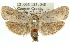  ( - 11ANIC-11354)  @13 [ ] CreativeCommons - Attribution (2011) ANIC/CBG Photography Group Centre for Biodiversity Genomics