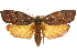  ( - 11ANIC-11400)  @15 [ ] CreativeCommons - Attribution (2011) ANIC/CBG Photography Group Centre for Biodiversity Genomics