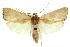  ( - 11ANIC-11428)  @11 [ ] CreativeCommons - Attribution (2011) ANIC/CBG Photography Group Centre for Biodiversity Genomics