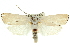  ( - 11ANIC-11430)  @14 [ ] CreativeCommons - Attribution (2011) ANIC/CBG Photography Group Centre for Biodiversity Genomics