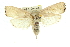  ( - 11ANIC-11431)  @11 [ ] CreativeCommons - Attribution (2011) ANIC/CBG Photography Group Centre for Biodiversity Genomics