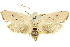  ( - 11ANIC-11434)  @11 [ ] CreativeCommons - Attribution (2011) ANIC/CBG Photography Group Centre for Biodiversity Genomics