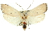  ( - 11ANIC-11438)  @13 [ ] CreativeCommons - Attribution (2011) ANIC/CBG Photography Group Centre for Biodiversity Genomics