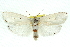  ( - 11ANIC-11501)  @13 [ ] CreativeCommons - Attribution (2011) ANIC/CBG Photography Group Centre for Biodiversity Genomics