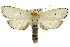  ( - 11ANIC-11514)  @13 [ ] CreativeCommons - Attribution (2011) ANIC/CBG Photography Group Centre for Biodiversity Genomics