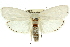  ( - 11ANIC-11524)  @14 [ ] CreativeCommons - Attribution (2011) ANIC/CBG Photography Group Centre for Biodiversity Genomics