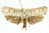  ( - 11ANIC-11526)  @11 [ ] CreativeCommons - Attribution (2011) ANIC/CBG Photography Group Centre for Biodiversity Genomics