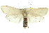  ( - 11ANIC-11541)  @15 [ ] CreativeCommons - Attribution (2011) ANIC/CBG Photography Group Centre for Biodiversity Genomics