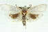  ( - 11ANIC-11557)  @11 [ ] CreativeCommons - Attribution (2011) ANIC/CBG Photography Group Centre for Biodiversity Genomics