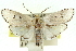  ( - 11ANIC-11562)  @15 [ ] CreativeCommons - Attribution (2011) ANIC/CBG Photography Group Centre for Biodiversity Genomics