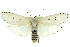  ( - 11ANIC-11568)  @14 [ ] CreativeCommons - Attribution (2011) ANIC/CBG Photography Group Centre for Biodiversity Genomics