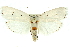  ( - 11ANIC-11570)  @13 [ ] CreativeCommons - Attribution (2011) ANIC/CBG Photography Group Centre for Biodiversity Genomics