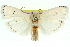  ( - 11ANIC-11571)  @14 [ ] CreativeCommons - Attribution (2011) ANIC/CBG Photography Group Centre for Biodiversity Genomics