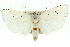  ( - 11ANIC-11573)  @11 [ ] CreativeCommons - Attribution (2011) ANIC/CBG Photography Group Centre for Biodiversity Genomics