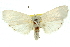  ( - 11ANIC-11576)  @11 [ ] CreativeCommons - Attribution (2011) ANIC/CBG Photography Group Centre for Biodiversity Genomics