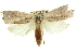  ( - 11ANIC-11590)  @11 [ ] CreativeCommons - Attribution (2011) ANIC/CBG Photography Group Centre for Biodiversity Genomics