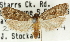  ( - 11ANIC-11635)  @11 [ ] CreativeCommons - Attribution (2011) ANIC/CBG Photography Group Centre for Biodiversity Genomics