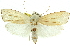  ( - 11ANIC-11692)  @14 [ ] CreativeCommons - Attribution (2011) ANIC/CBG Photography Group Centre for Biodiversity Genomics