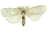  ( - 11ANIC-11695)  @11 [ ] CreativeCommons - Attribution (2011) ANIC/CBG Photography Group Centre for Biodiversity Genomics