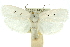  ( - 11ANIC-11707)  @13 [ ] CreativeCommons - Attribution (2011) ANIC/CBG Photography Group Centre for Biodiversity Genomics